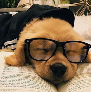 Meet your Posher, Astrid